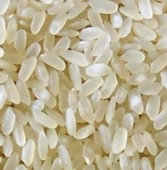 Gạo Trắng Hạt Vừa